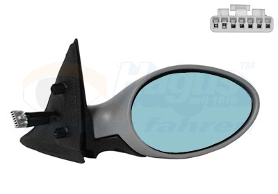 Exterior Mirror (0156818)