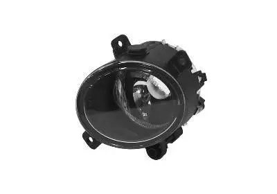 Front Fog Light (1828996)
