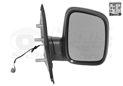 Exterior Mirror (5896808)