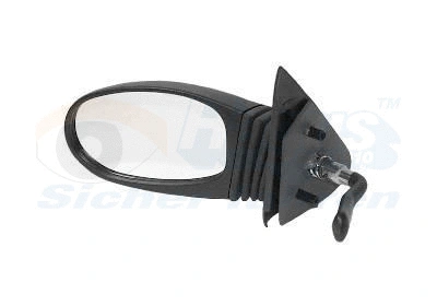 Exterior Mirror (1601803)
