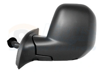 Exterior Mirror (0905803)