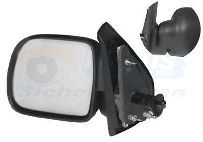 Exterior Mirror (4310803)