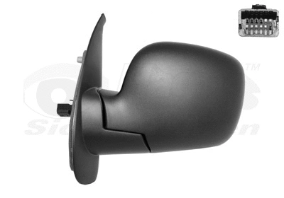 Exterior Mirror (4312807)