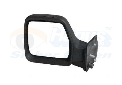 Exterior Mirror (1610801)