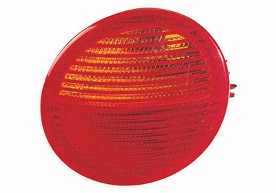 Tail Light Assembly (5803922)