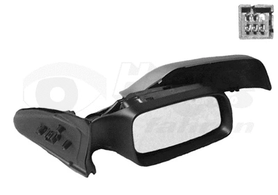 Exterior Mirror (3742808)