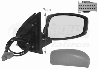 Exterior Mirror (1625818)
