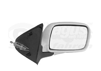 Exterior Mirror (5826804)