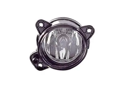 Front Fog Light (5896996)