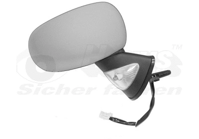 Exterior Mirror (4366828)