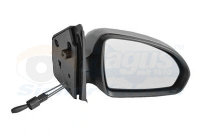 Exterior Mirror (2911814)
