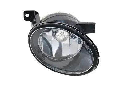 Front Fog Light (5863996)