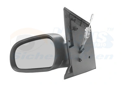 Exterior Mirror (5818813)