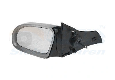 Exterior Mirror (3776813)