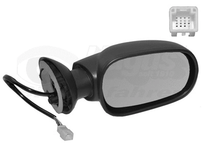 Exterior Mirror (1514808)