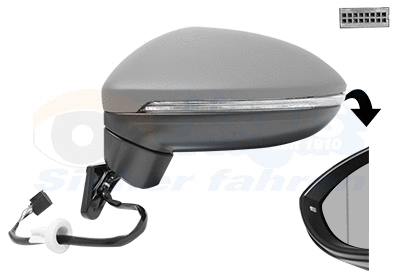 Exterior Mirror (5819807)