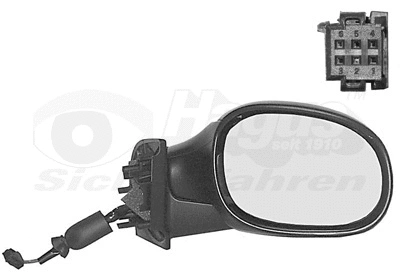 Exterior Mirror (0925808)