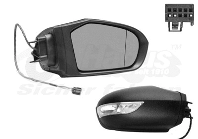 Exterior Mirror (3017808)