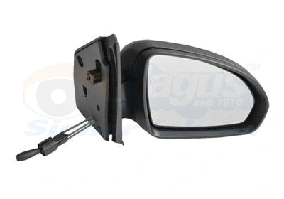 Exterior Mirror (2911804)