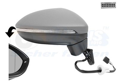 Exterior Mirror (5819808)