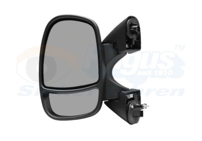Exterior Mirror (4394807)