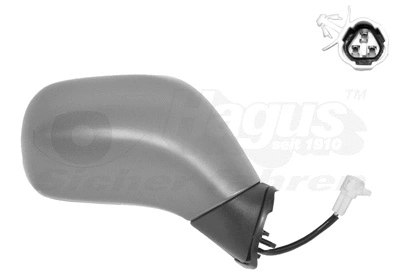 Exterior Mirror (3701816)