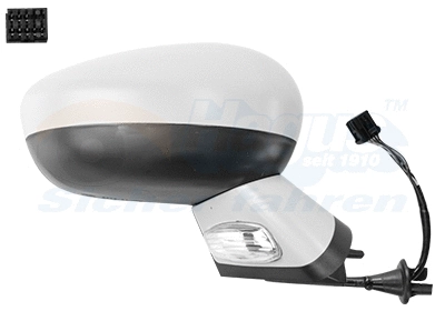 Exterior Mirror (0975816)