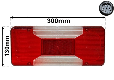 Tail Light Assembly (2815925)
