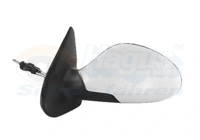 Exterior Mirror (4934813)