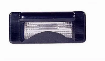 Licence Plate Light (5877920)