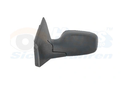 Exterior Mirror (4331817)