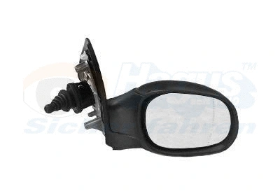 Exterior Mirror (4028804)