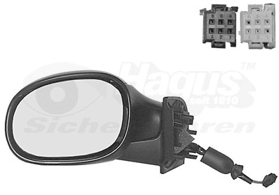 Exterior Mirror (0925815)