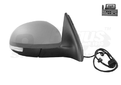 Exterior Mirror (5745808)
