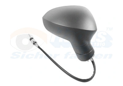 Exterior Mirror (4919804)