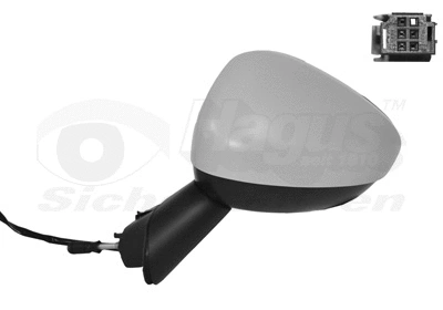 Exterior Mirror (0929807)