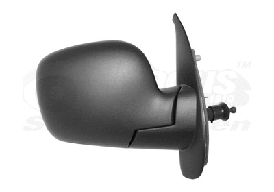 Exterior Mirror (4312804)
