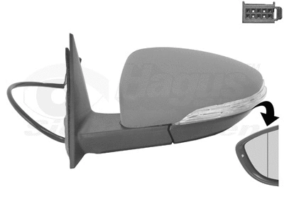 Exterior Mirror (5806807)