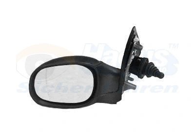 Exterior Mirror (4028803)