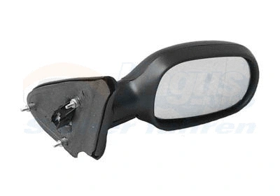 Exterior Mirror (4325808)