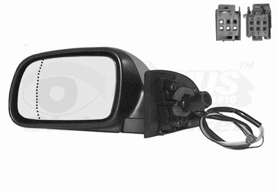 Exterior Mirror (4040827)