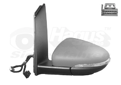 Exterior Mirror (5735807)