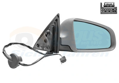 Exterior Mirror (0318808)