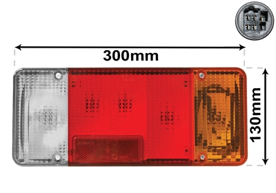 Tail Light Assembly (2810926)