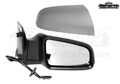 Exterior Mirror (3792828)