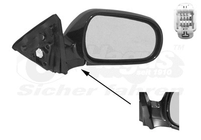 Exterior Mirror (2527806)