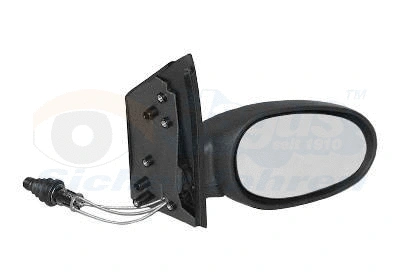 Exterior Mirror (2910804)