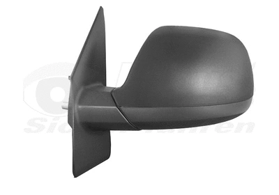 Exterior Mirror (5790803)