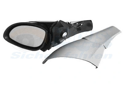 Exterior Mirror (3766804)