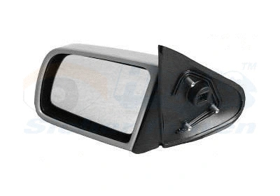 Exterior Mirror (3764807)